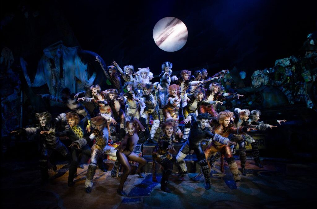 CATS returns to Sydney