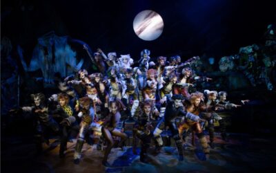 CATS returns to Sydney